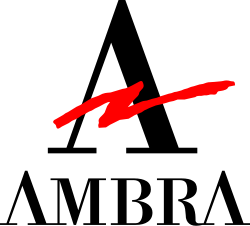 Ambra Computer Corporation logo