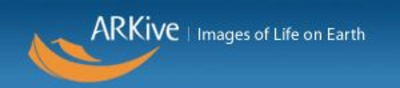 ARKive logo