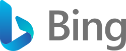Bing Maps Streetside logo