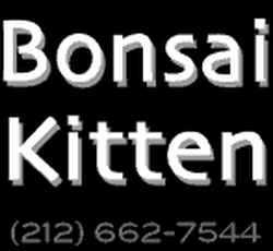 Bonsai Kitten logo