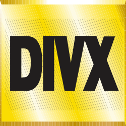 DIVX (Digital Video Express) logo