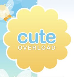Cute Overload logo