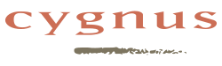 Cygnus Solutions logo