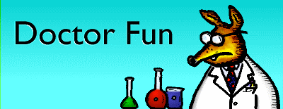 Doctor Fun logo