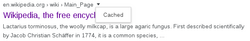 Google Cache logo