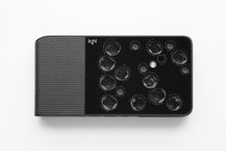 Light L16 logo