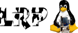 Linux Router Project logo
