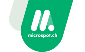 Microspot logo