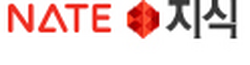Nate Jisik (네이트 지식) logo