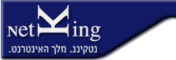 NetKing logo