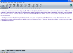 Netscape Composer logo