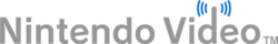 Nintendo Video logo
