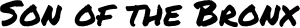 Son of the Bronx logo