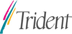 Trident Microsystems logo
