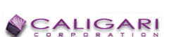trueSpace logo