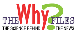 The Why Files logo